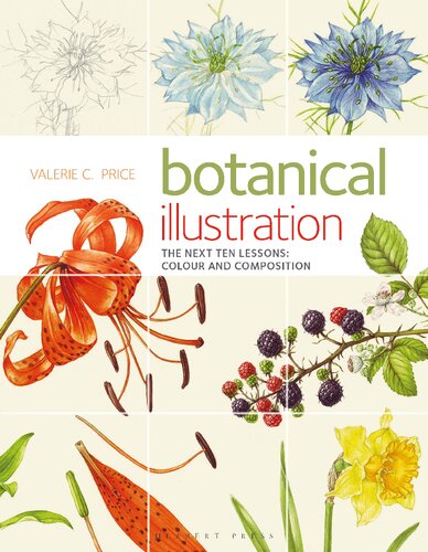 Botanical Illustration The Next Ten Lessons Colour And Composition Valerie Price