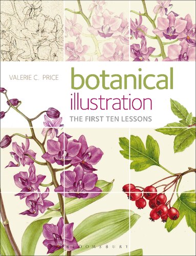 Botanical Illustration The First Ten Lessons Valerie Price