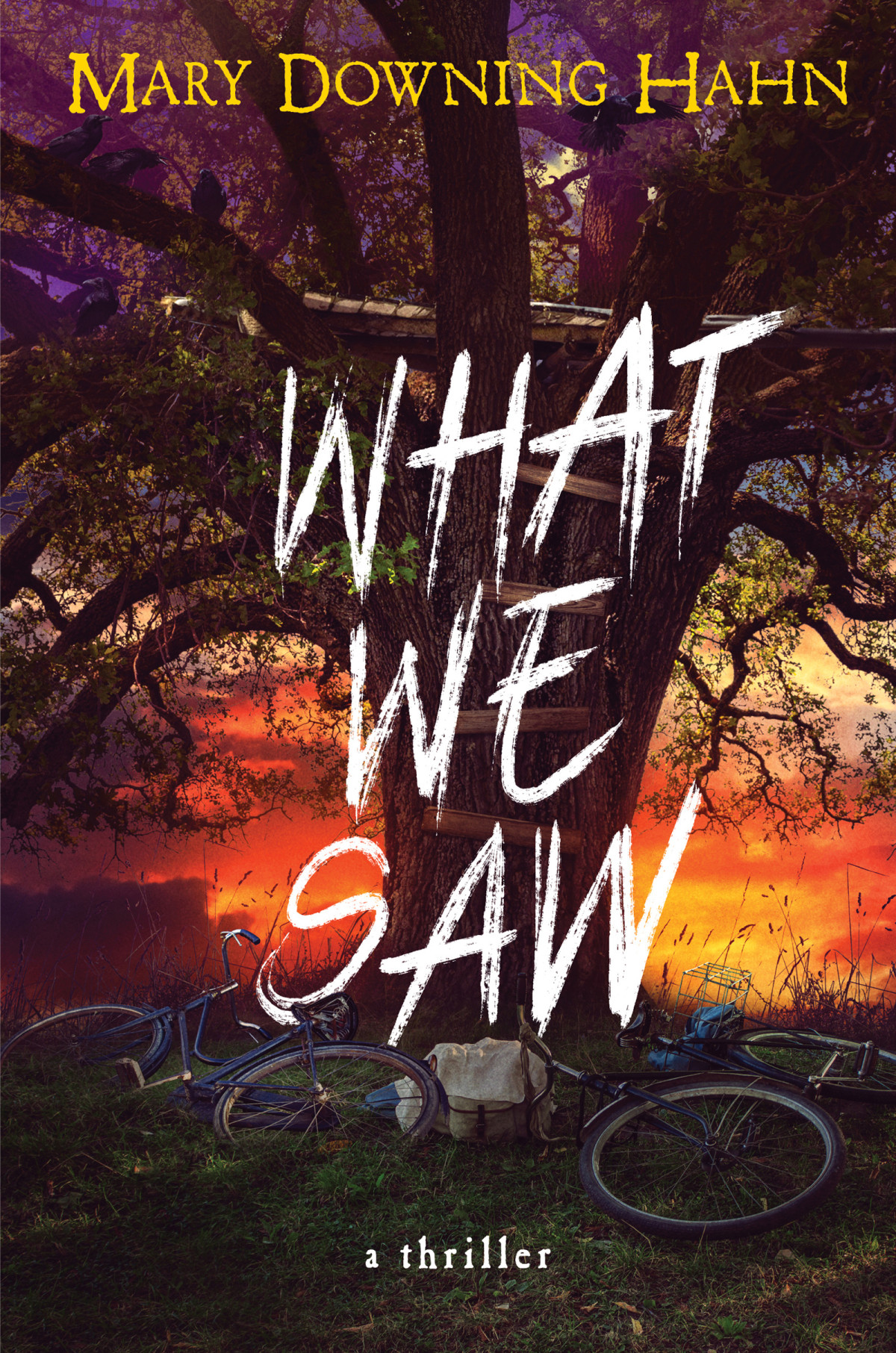 What We Saw Mary Downing Hahn