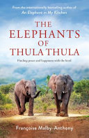 The Elephants Of Thula Thula Francoise Malbyanthony