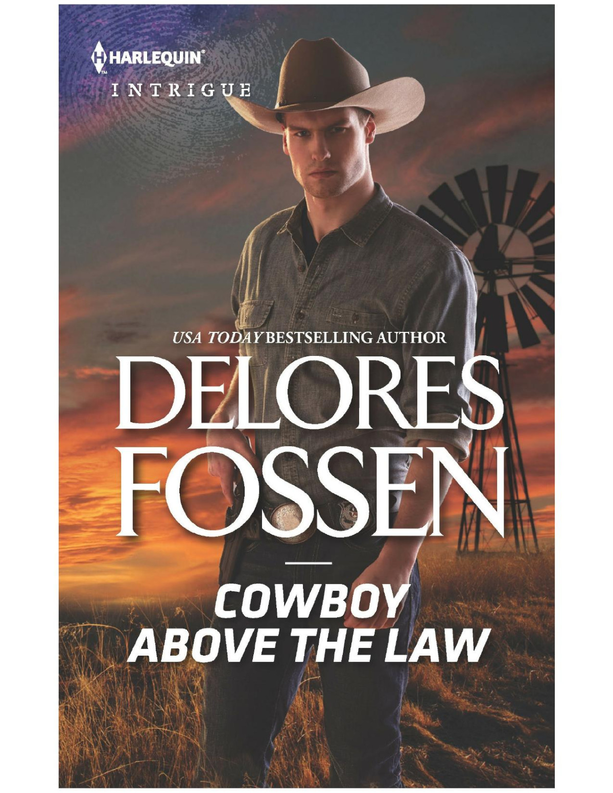 Cowboy Above The Law Delores Fossen