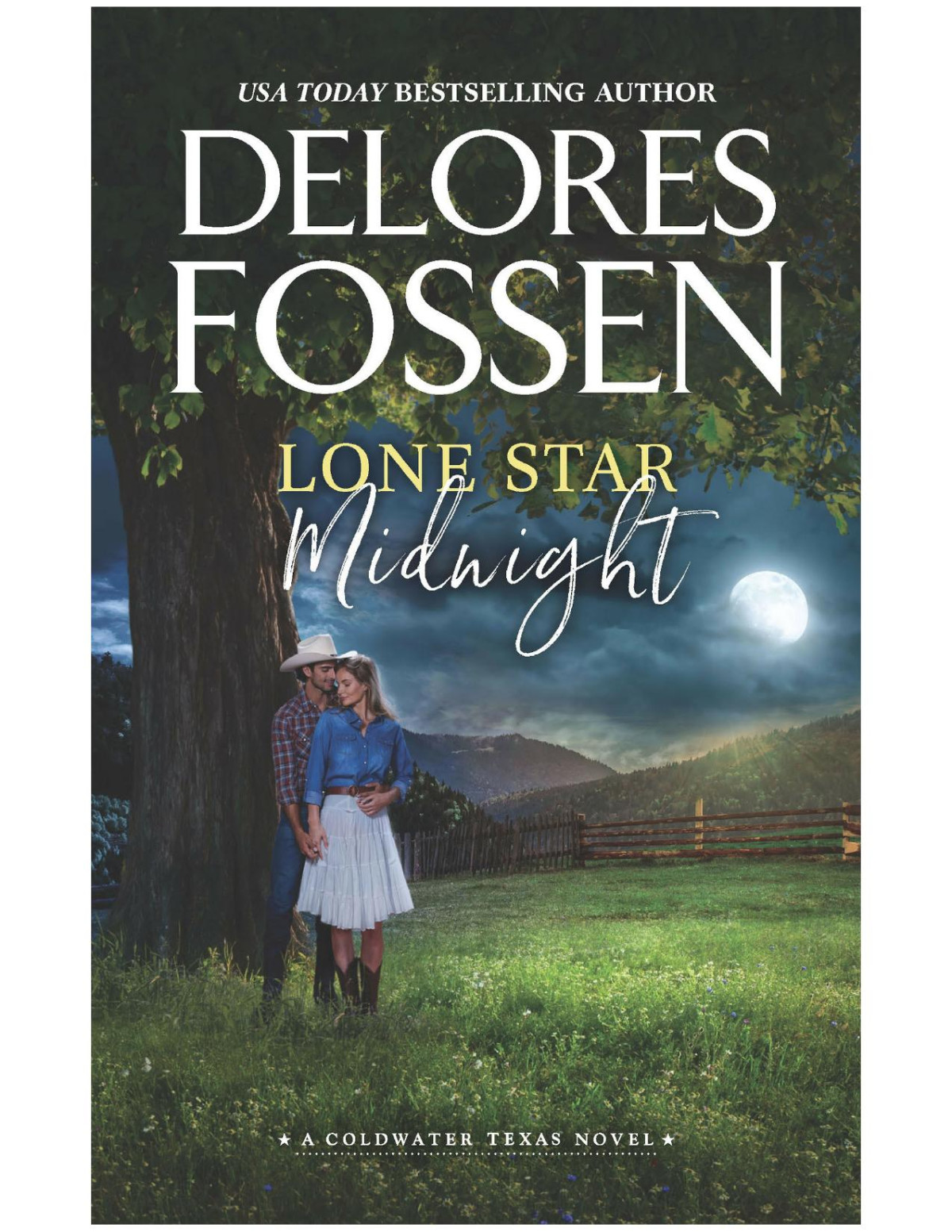 Lone Star Midnight Delores Fossen