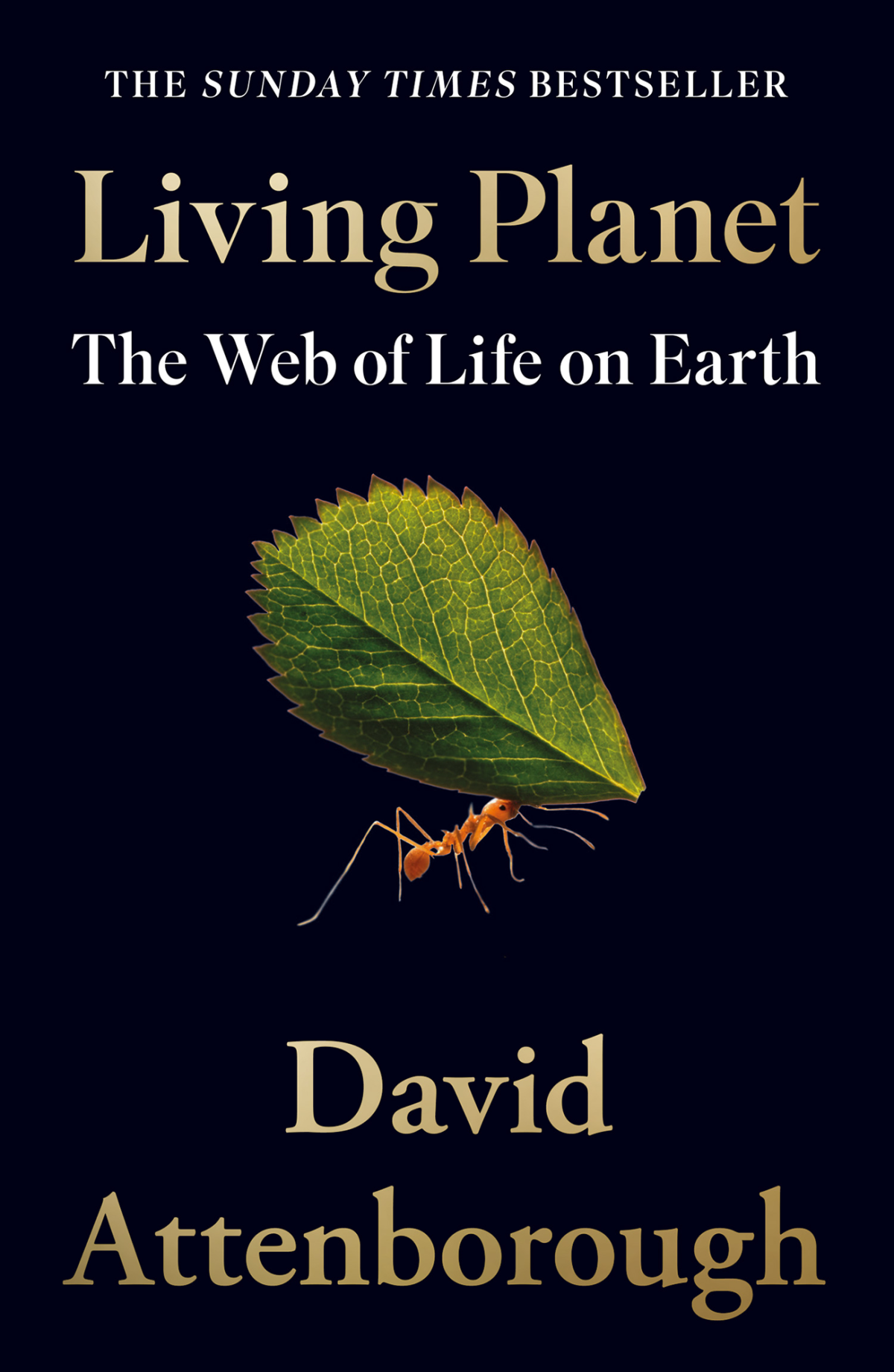Living Planet The Web Of Life On Earth David Attenborough