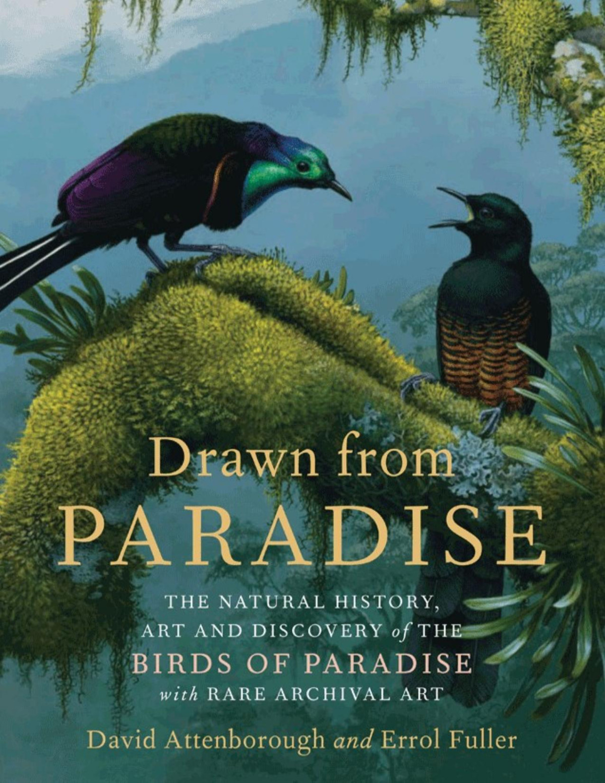 Drawn From Paradise The Natural History Art And Discovery Of The Birds Of Paradise With Rare Archival Art David Attenborough