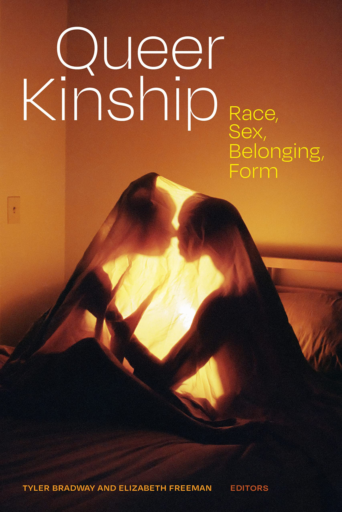 Queer Kinship Race Sex Belonging Form Theory Q 1st Edition Tyler Bradway Editor