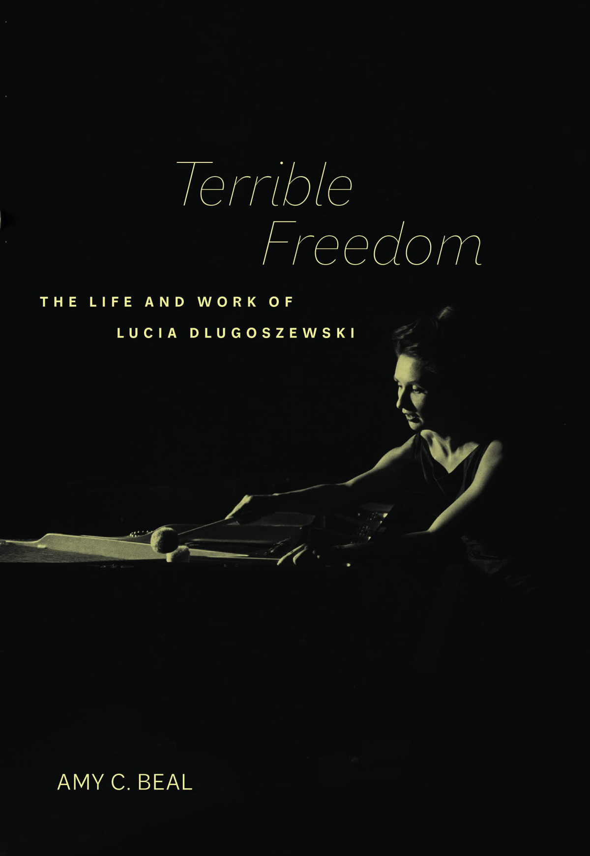 Terrible Freedom The Life And Work Of Lucia Dlugoszewski 1st Edition Amy C Beal