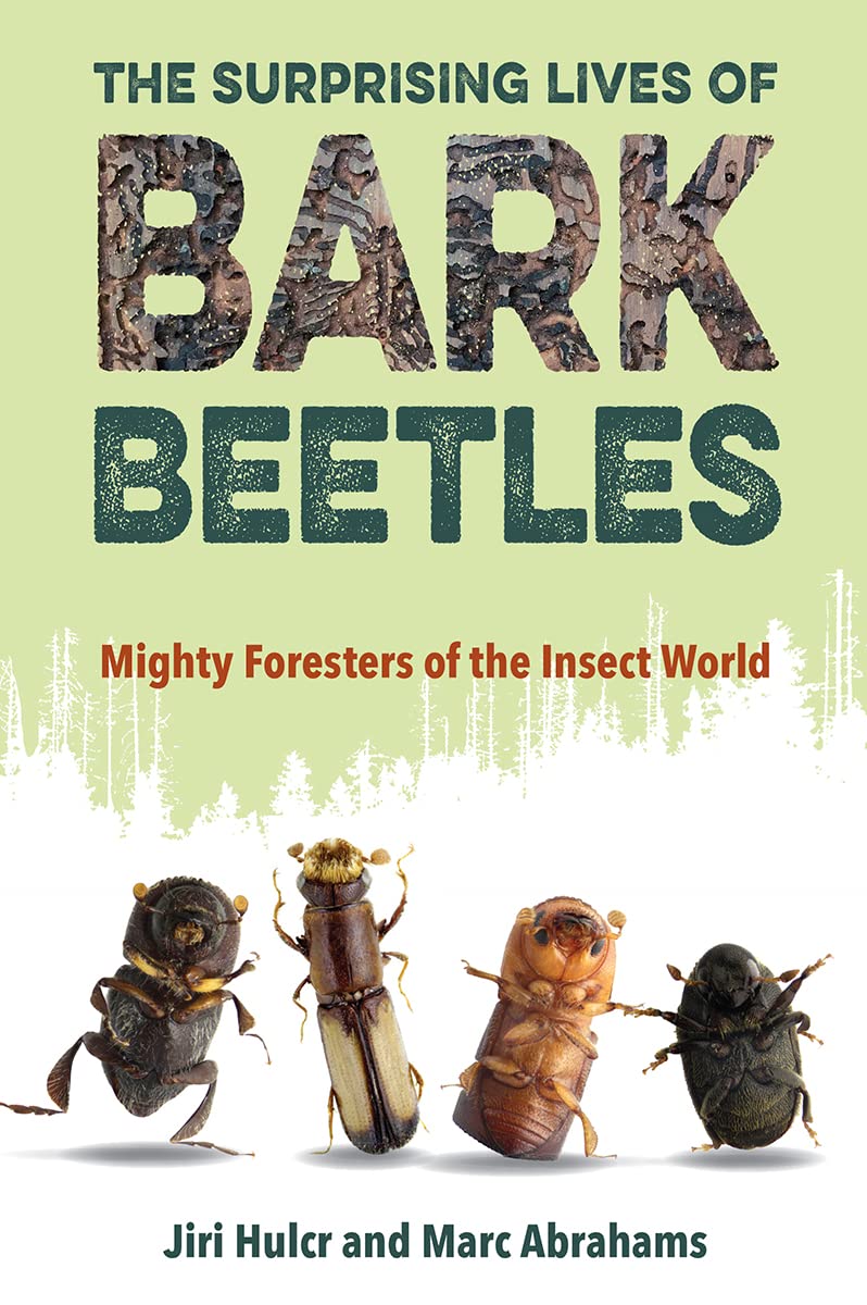 The Surprising Lives Of Bark Beetles Mighty Foresters Of The Insect World Jiri Hulcr