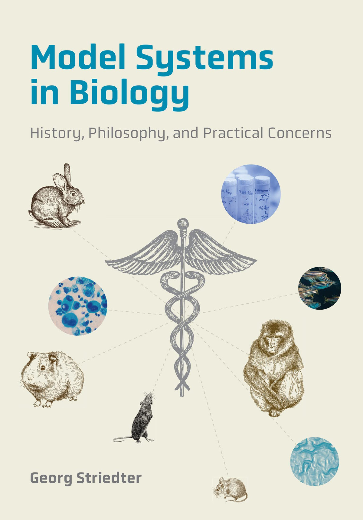 Model Systems In Biology History Philosophy And Practical Concerns Georg Striedter