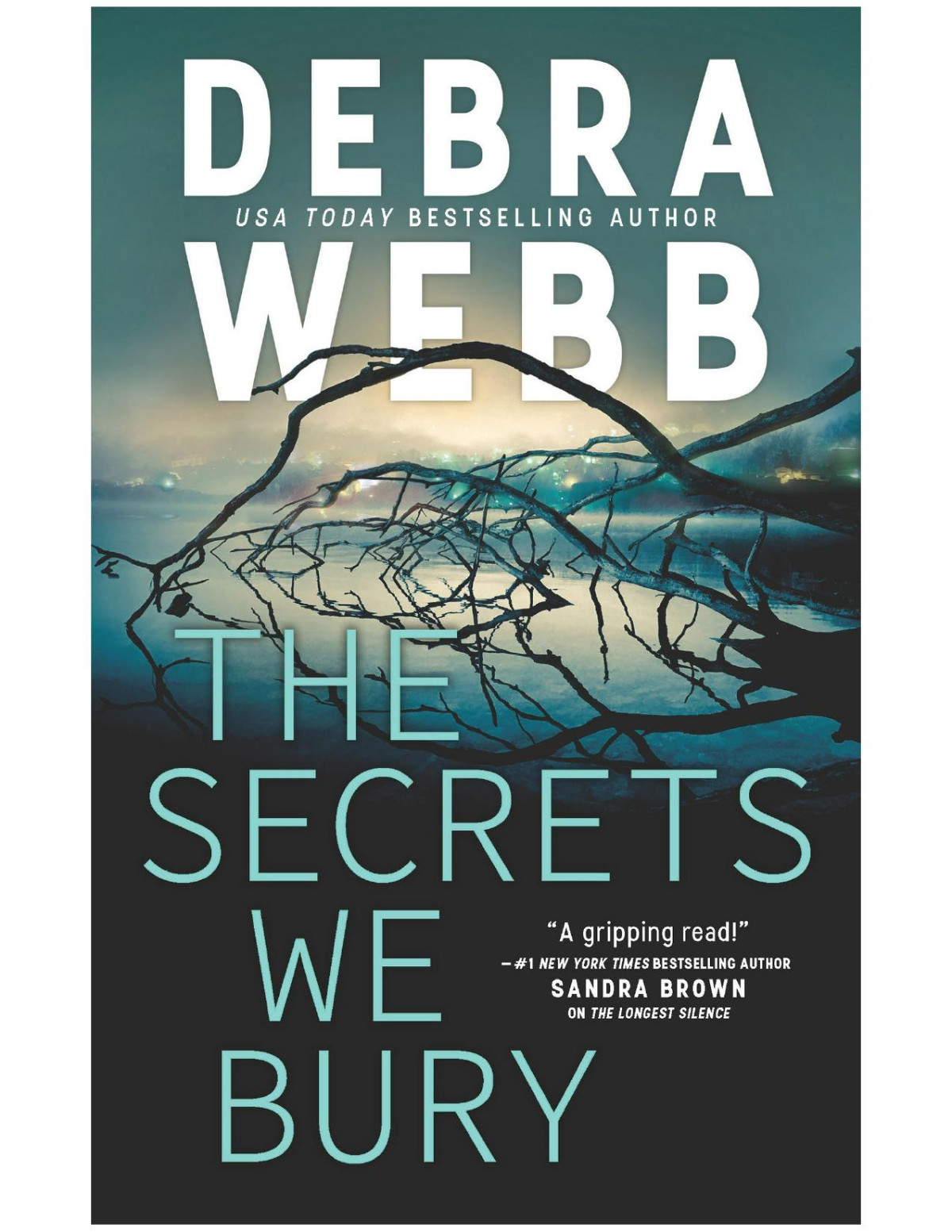 The Secrets We Bury Debra Webb