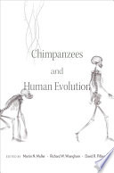 Chimpanzees And Human Evolution Martin N Muller Richard W Wrangham