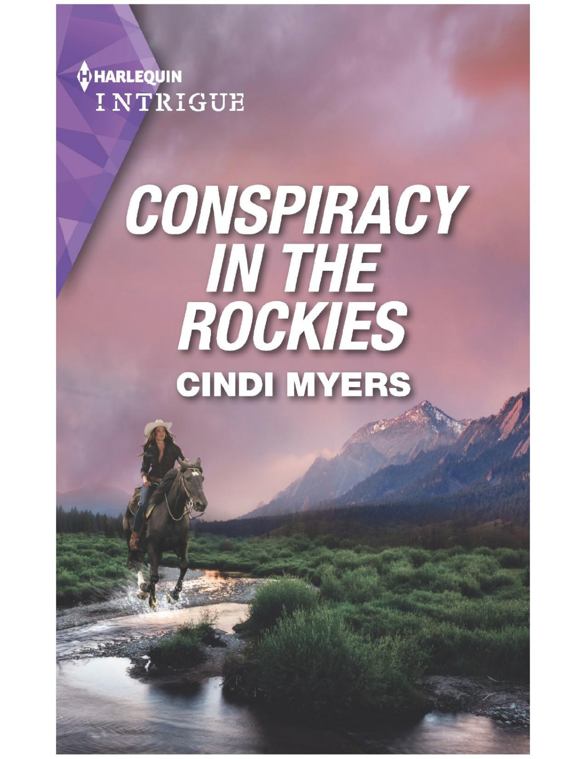 Conspiracy In The Rockies Cindi Myers