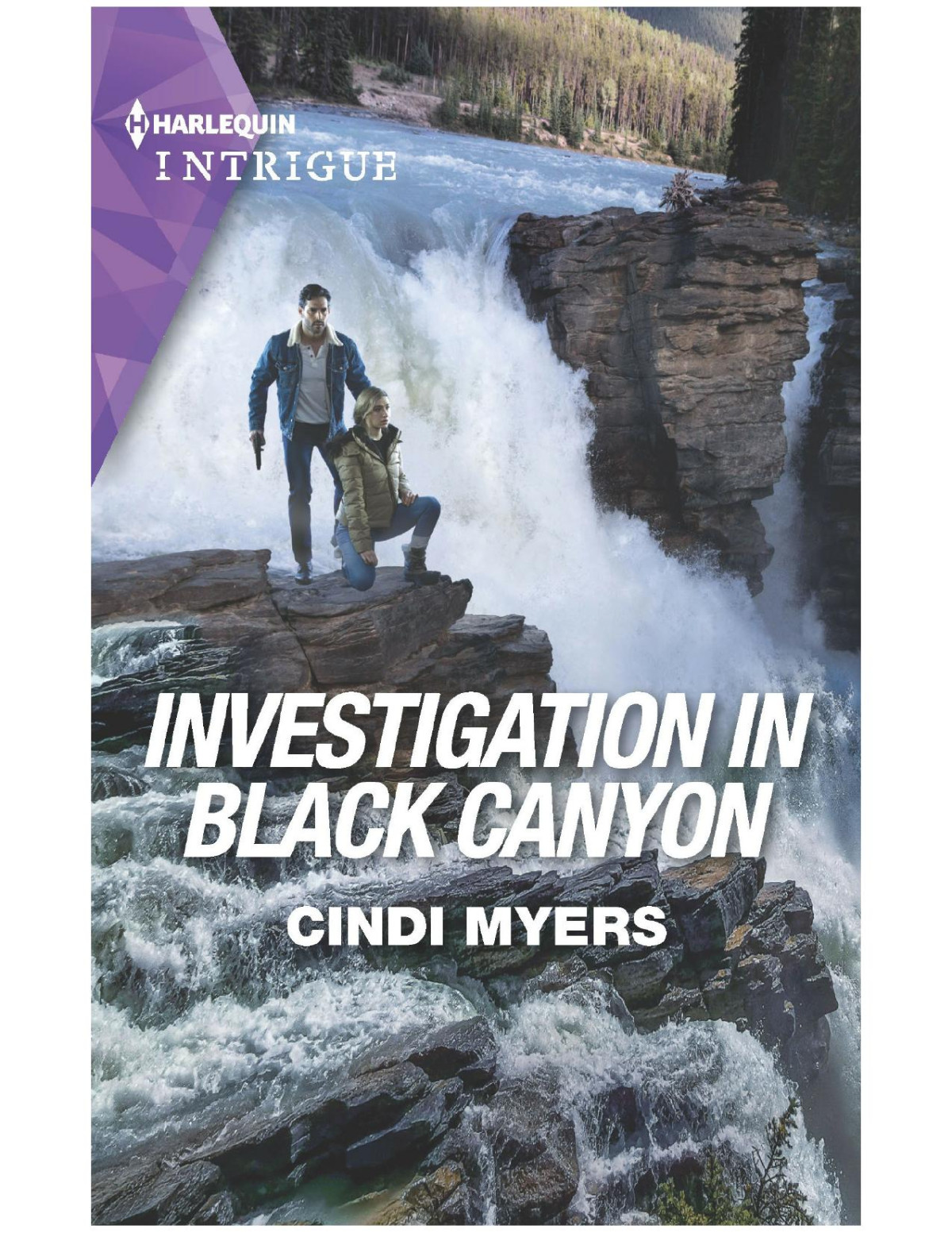 Investigation In Black Canyon Cindi Myers