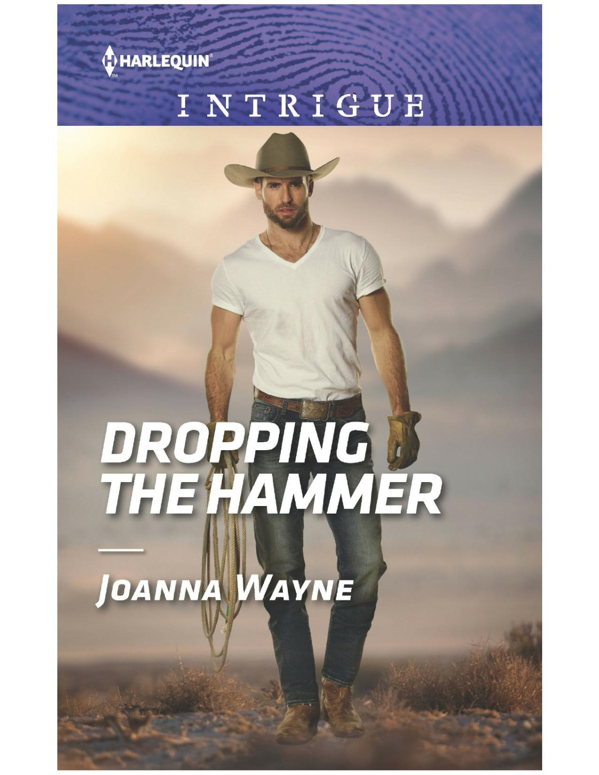 Dropping The Hammer Joanna Wayne