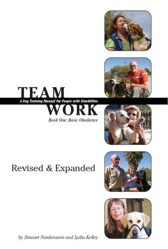 Teamwork Stewart Nordensson