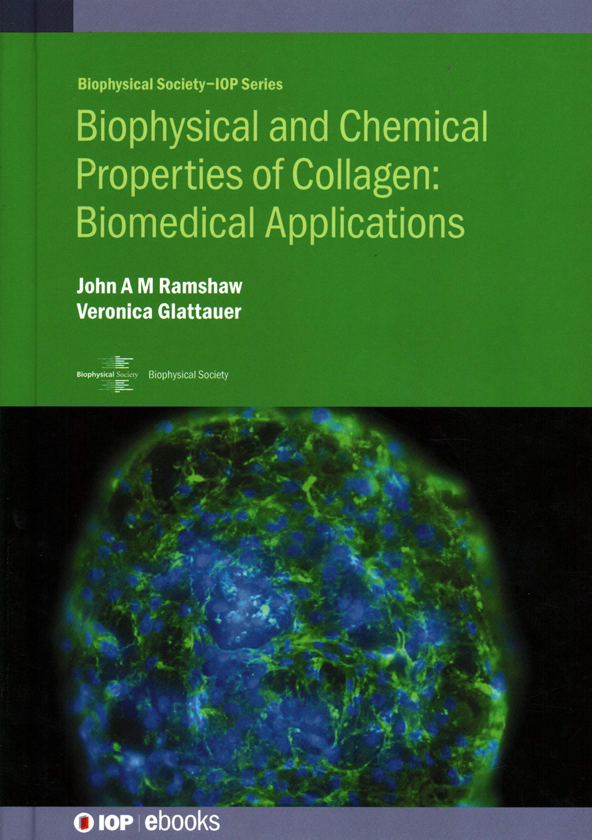 Biophysical And Chemical Properties Of Collagen Biomedical Applications In Tissue Engineering John Am Ramshaw