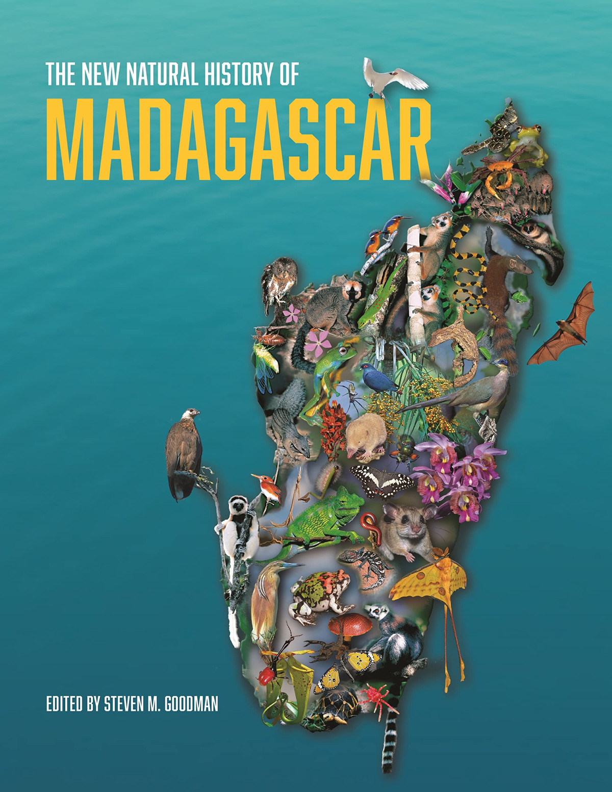 The New Natural History Of Madagascar Volumes 12 Steven M Goodman