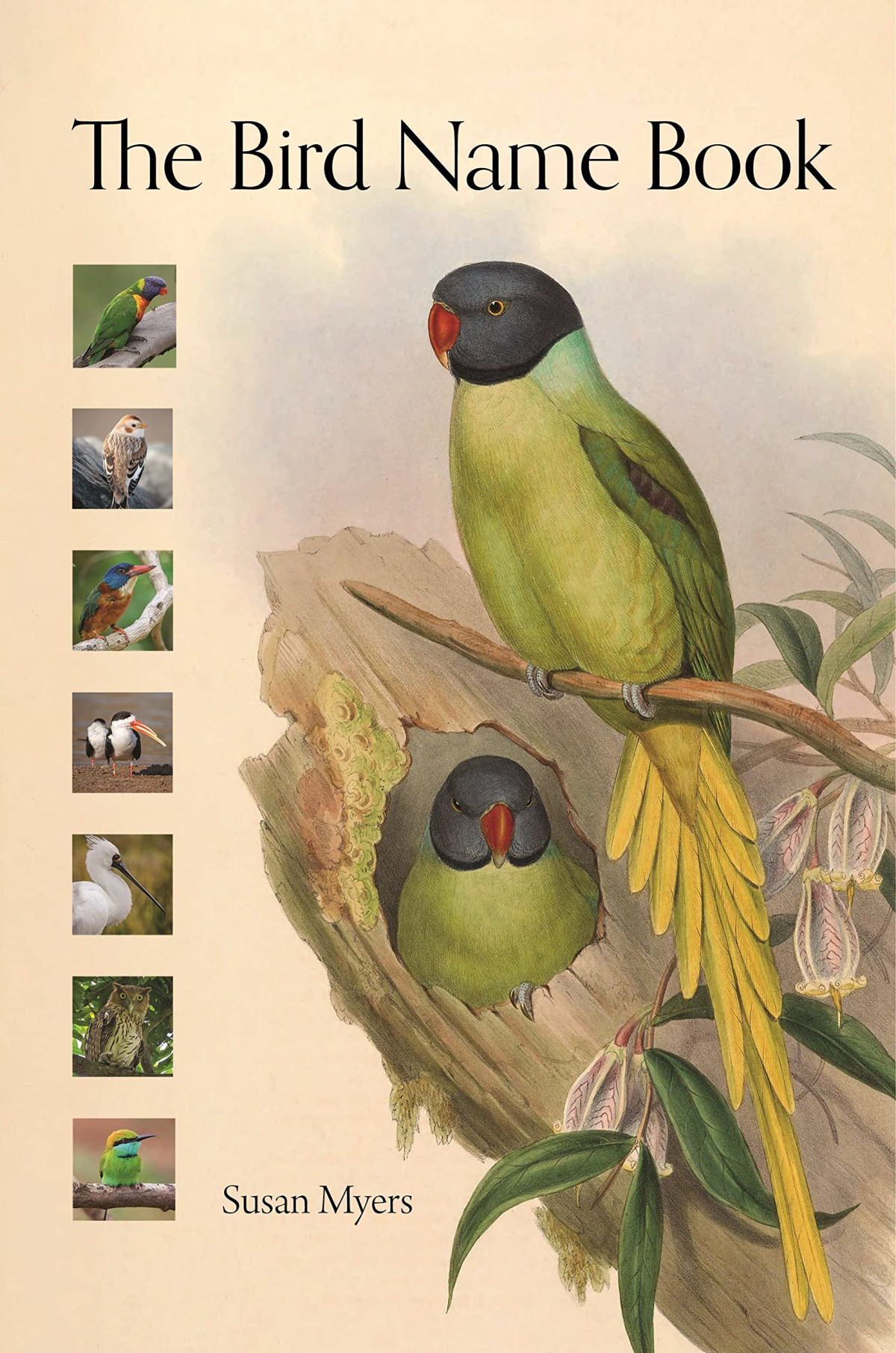 The Bird Name Book A History Of English Bird Names Susan Myers