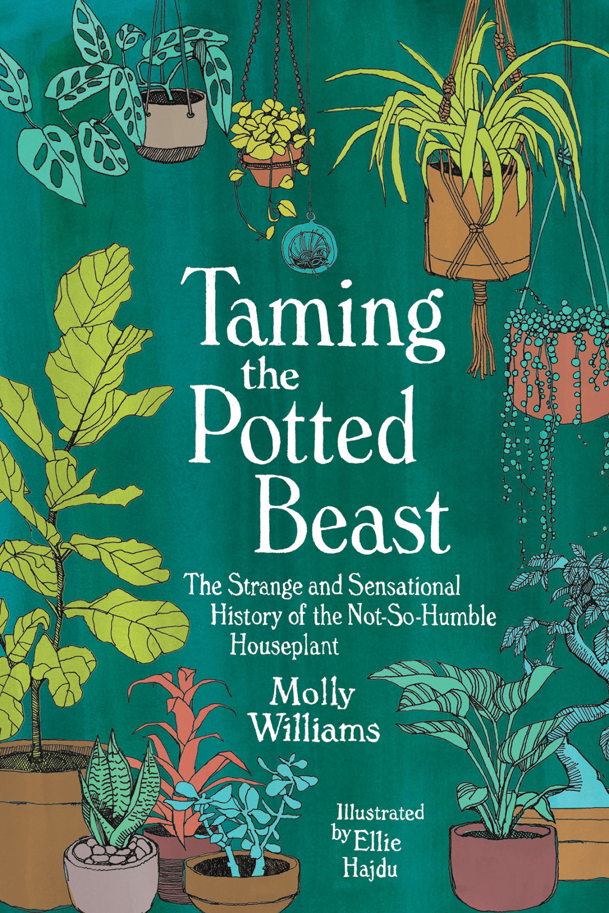 Taming The Potted Beast The Strange And Sensational History Of The Notsohumble Houseplant Molly Williams