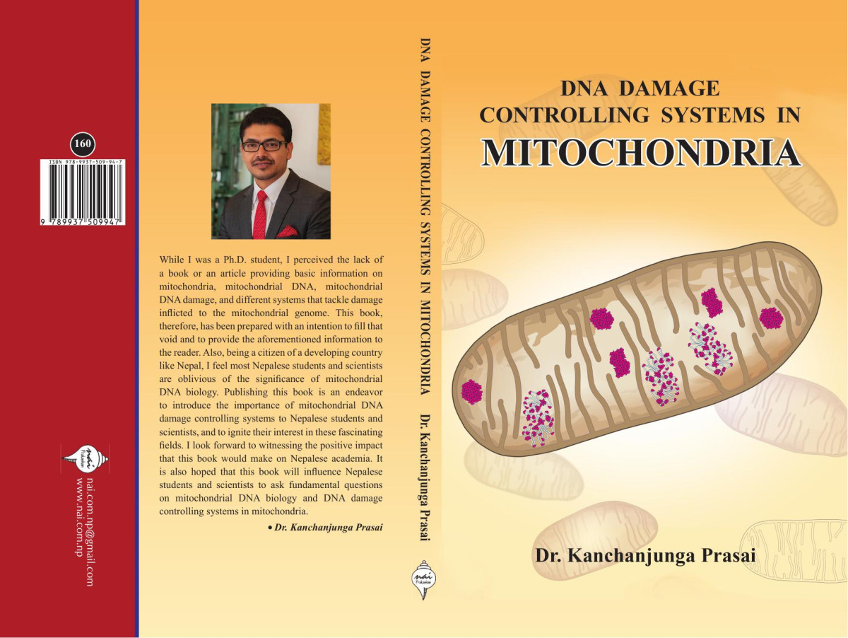 Dna Damage Controlling Systems In Mitochondria 1st Edition Dr Kanchanjunga Prasai