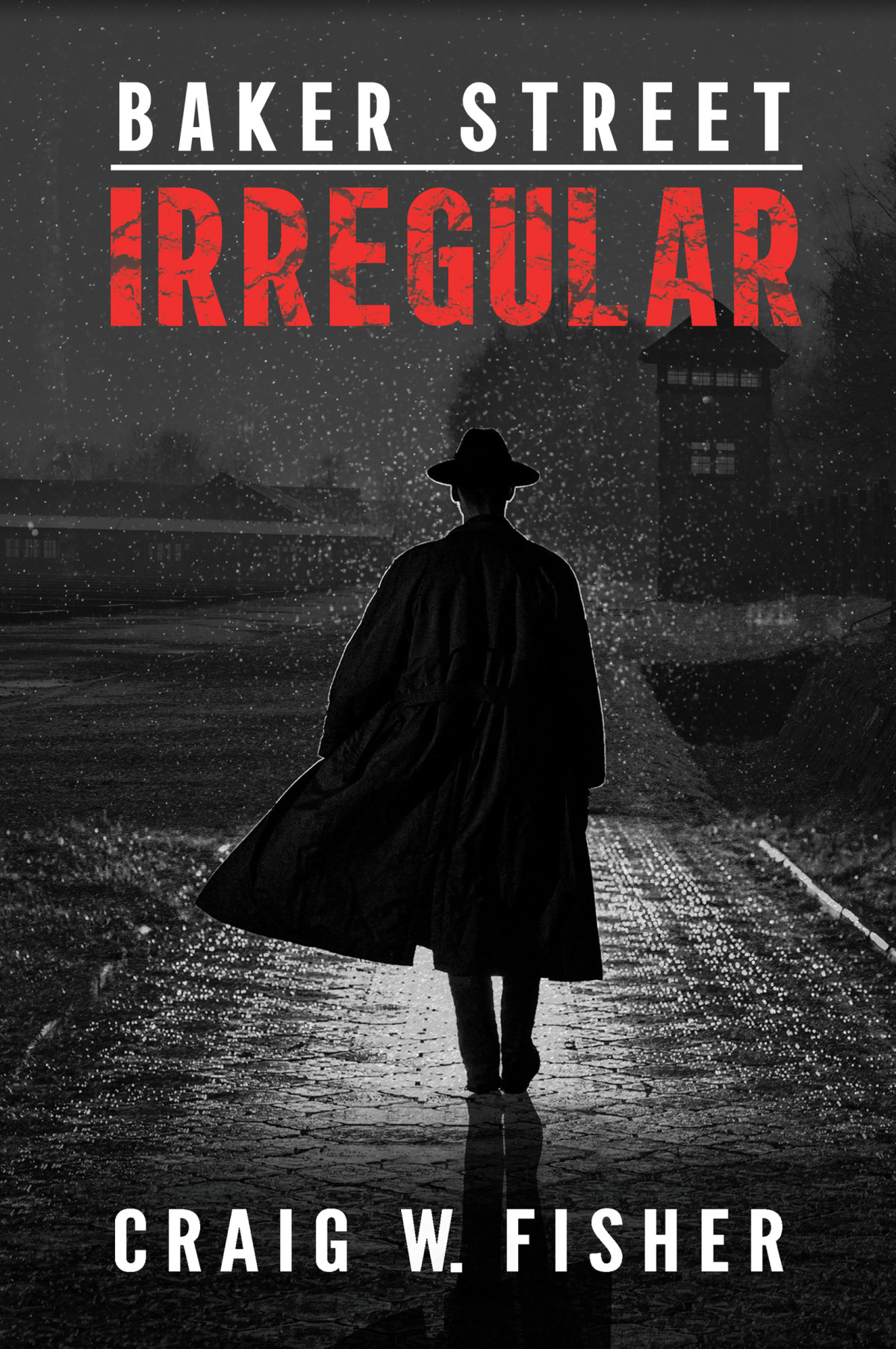 Baker Street Irregular Craig W Fisher