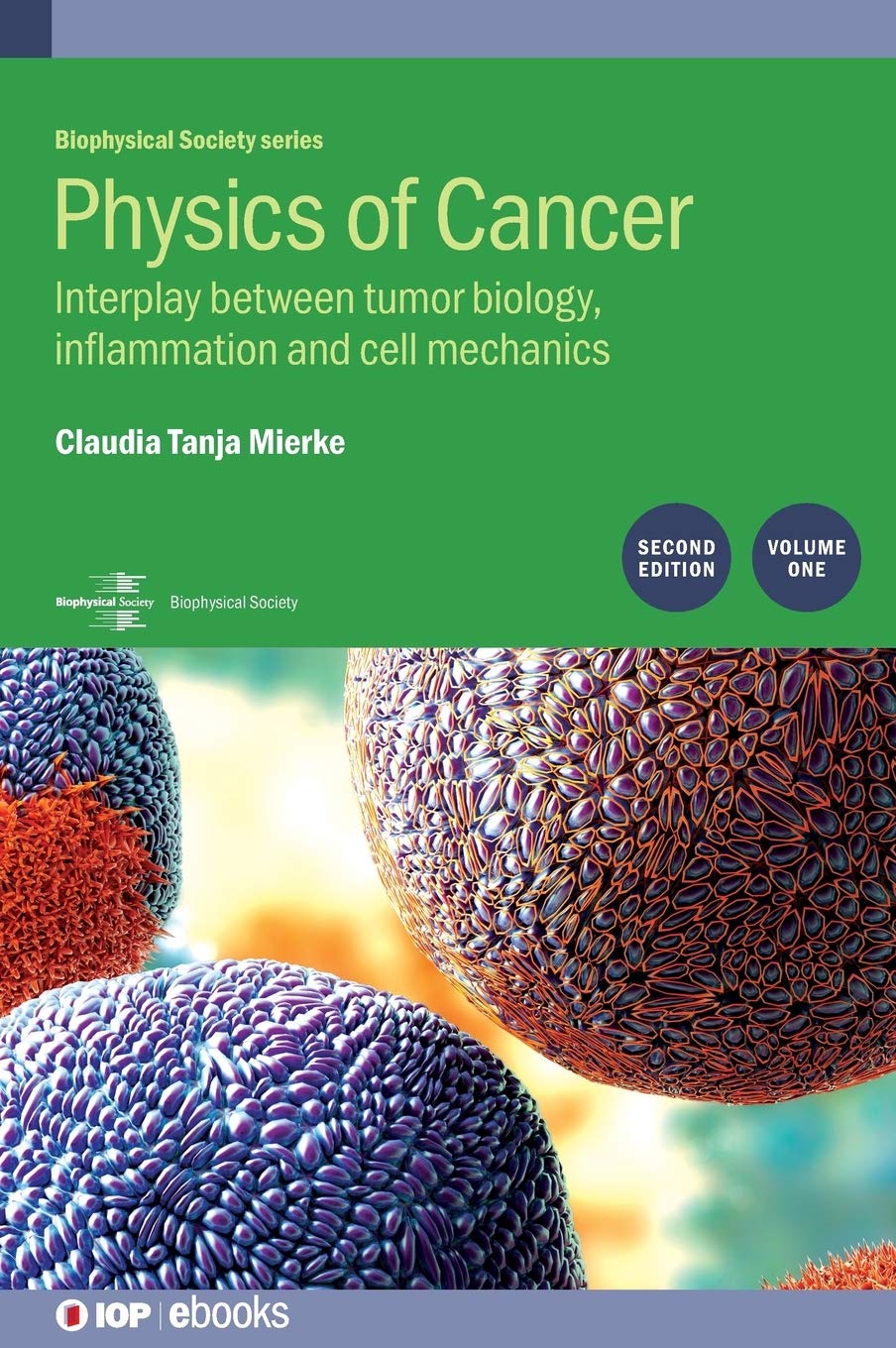 Physics Of Cancer Volume 1 Interplay Between Tumor Biology Inflammation And Cell Mechanics 2nd Edition Claudia Mierke
