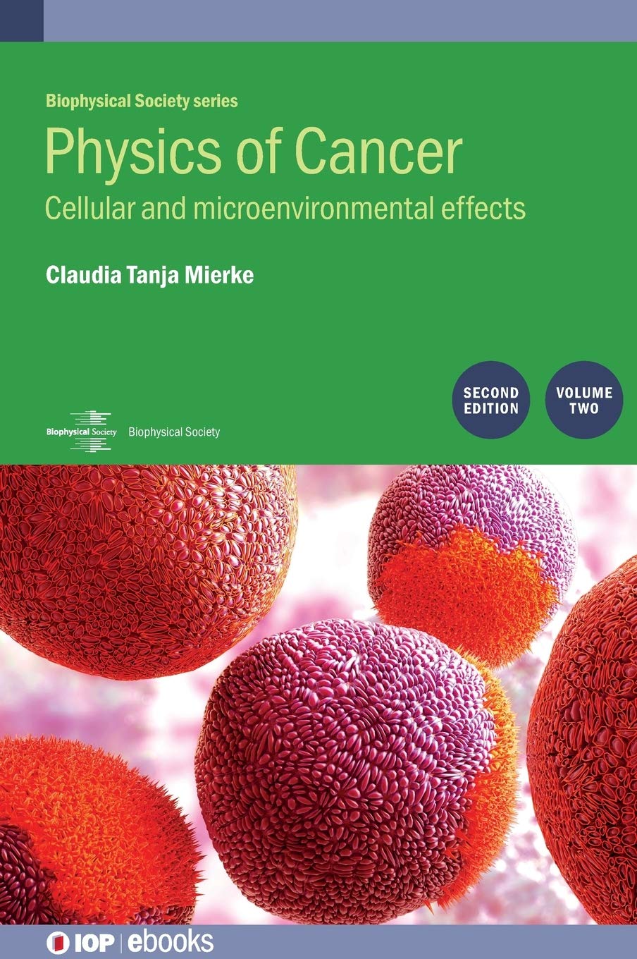 Physics Of Cancer Volume 2 Cellular And Microenvironmental Efects 2nd Edition Claudia Mierke