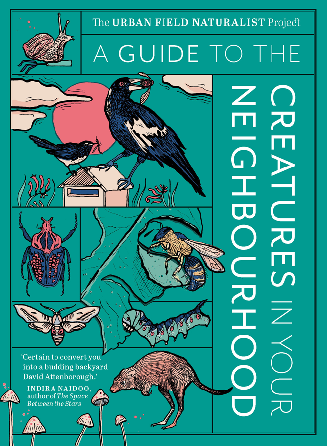 A Guide To The Creatures In Your Neighbourhood Zo Sadokierski