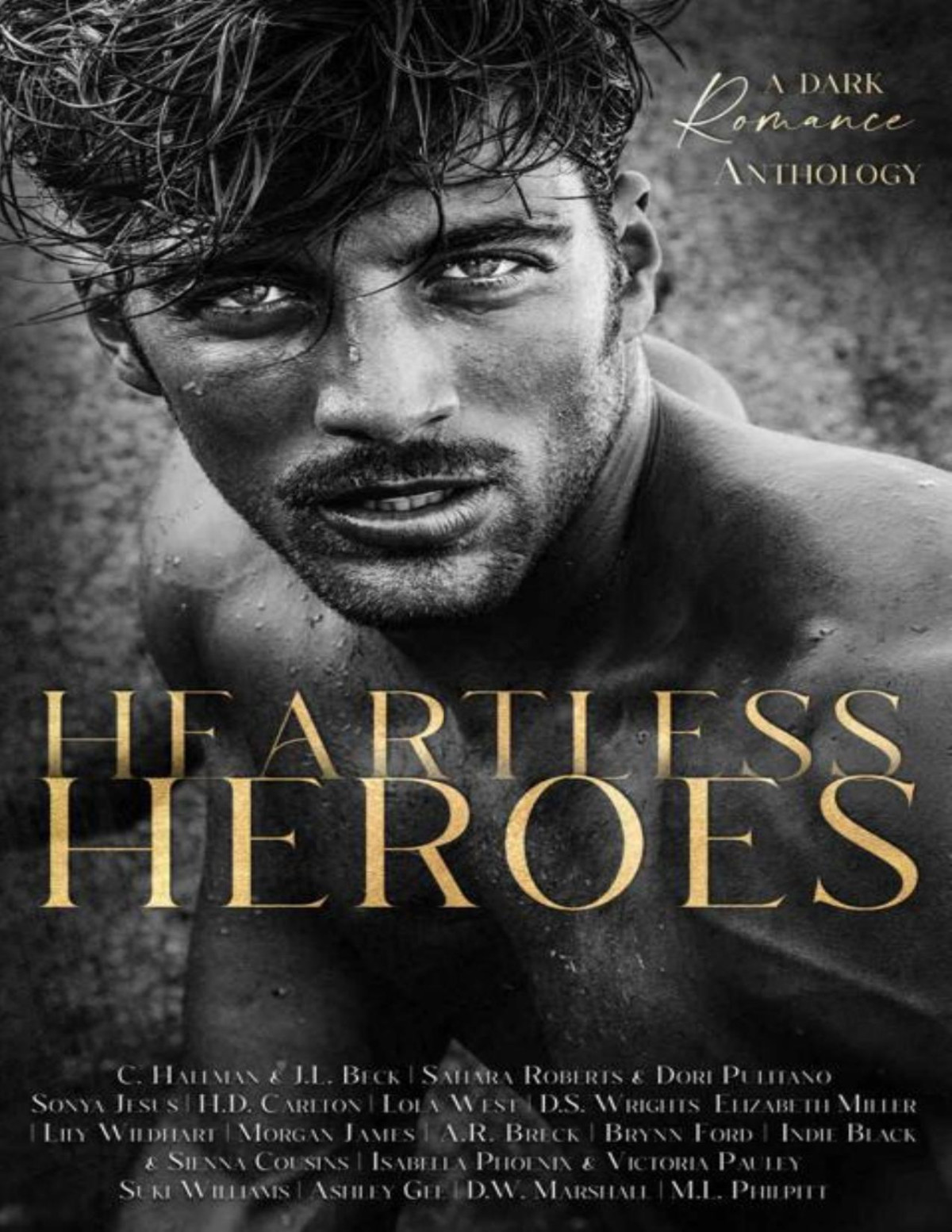 Heartless Heroes A Dark Romance Anthology C Hallman