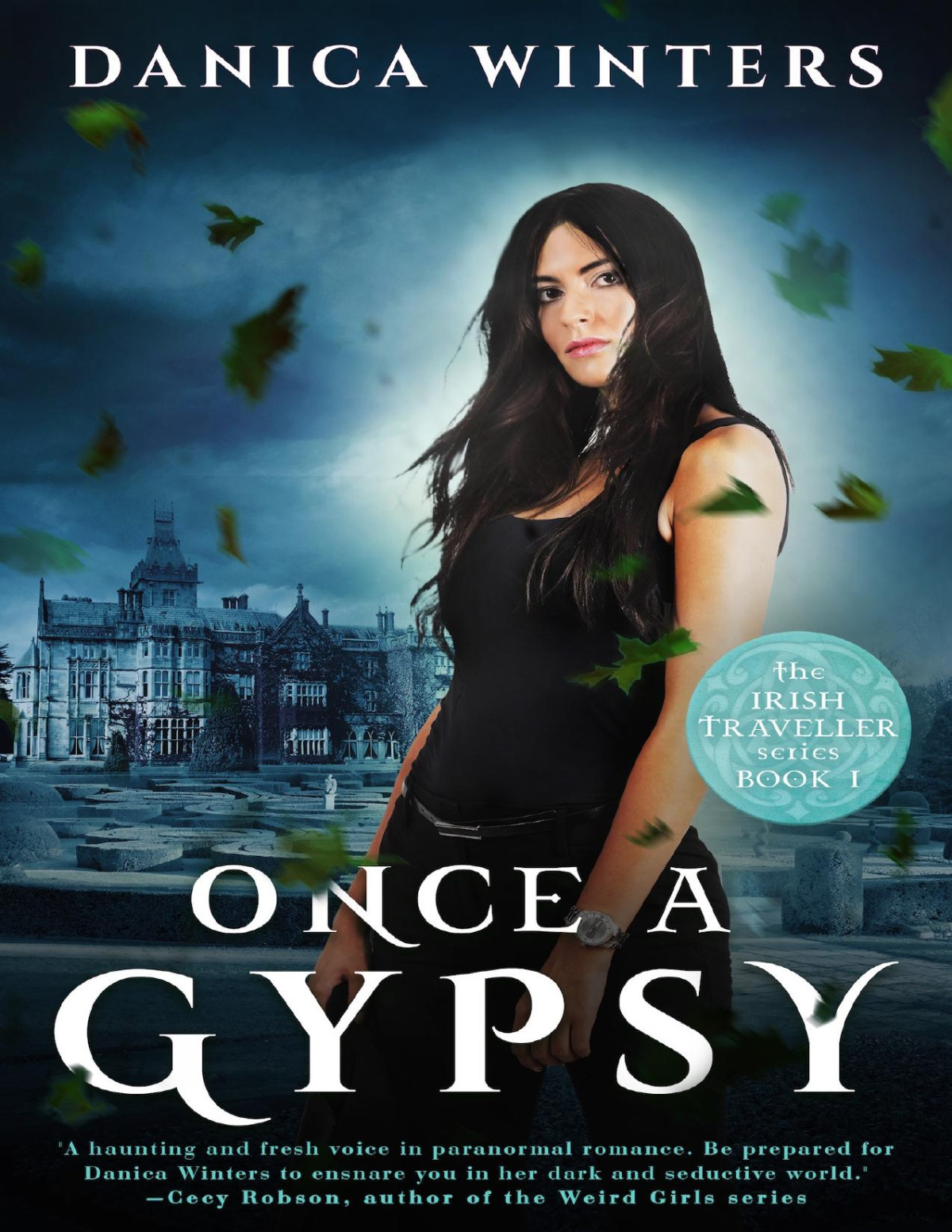 Once A Gypsy Danica Winters