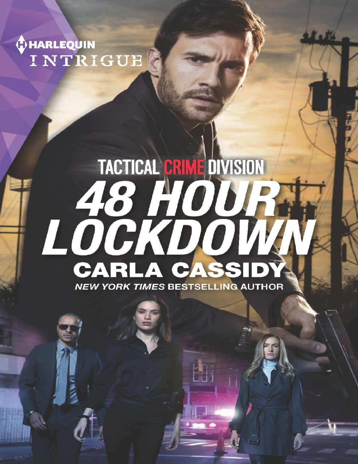 48 Hour Lockdown Carla Cassidy