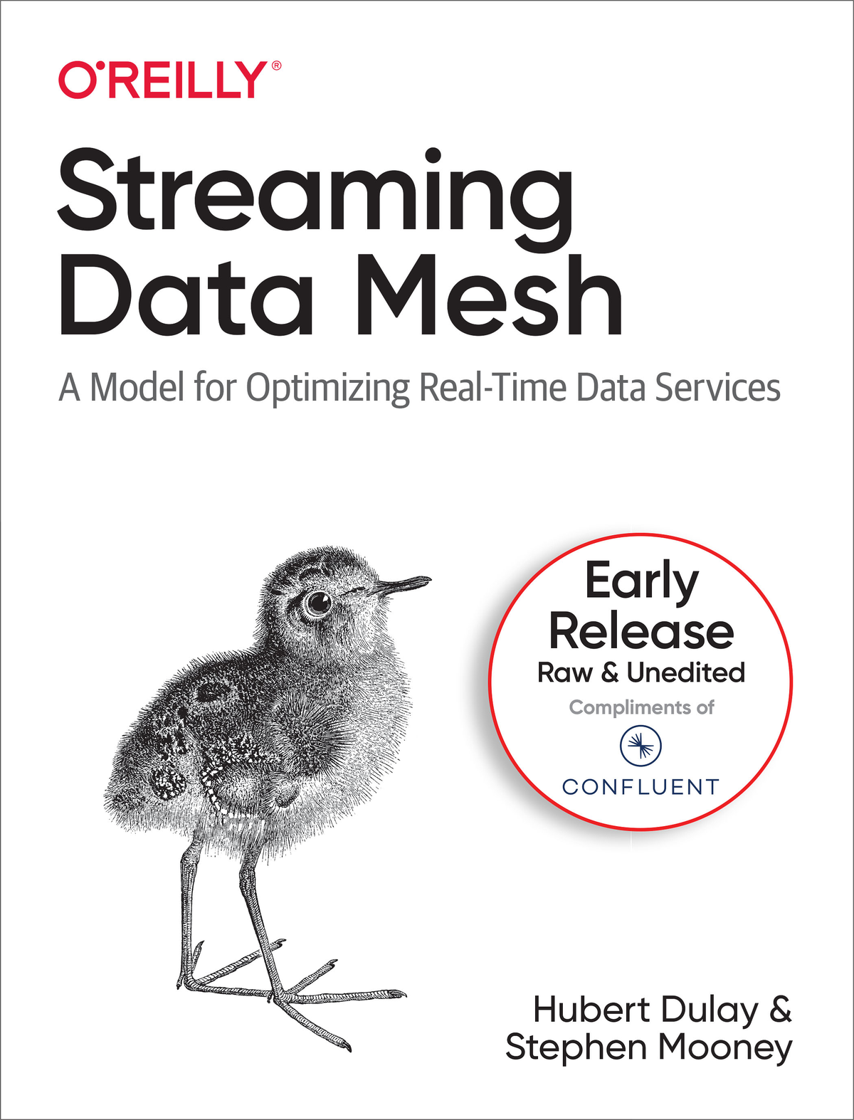 Streaming Data Mesh Third Early Release Hubert Dulay And Stephen Mooney
