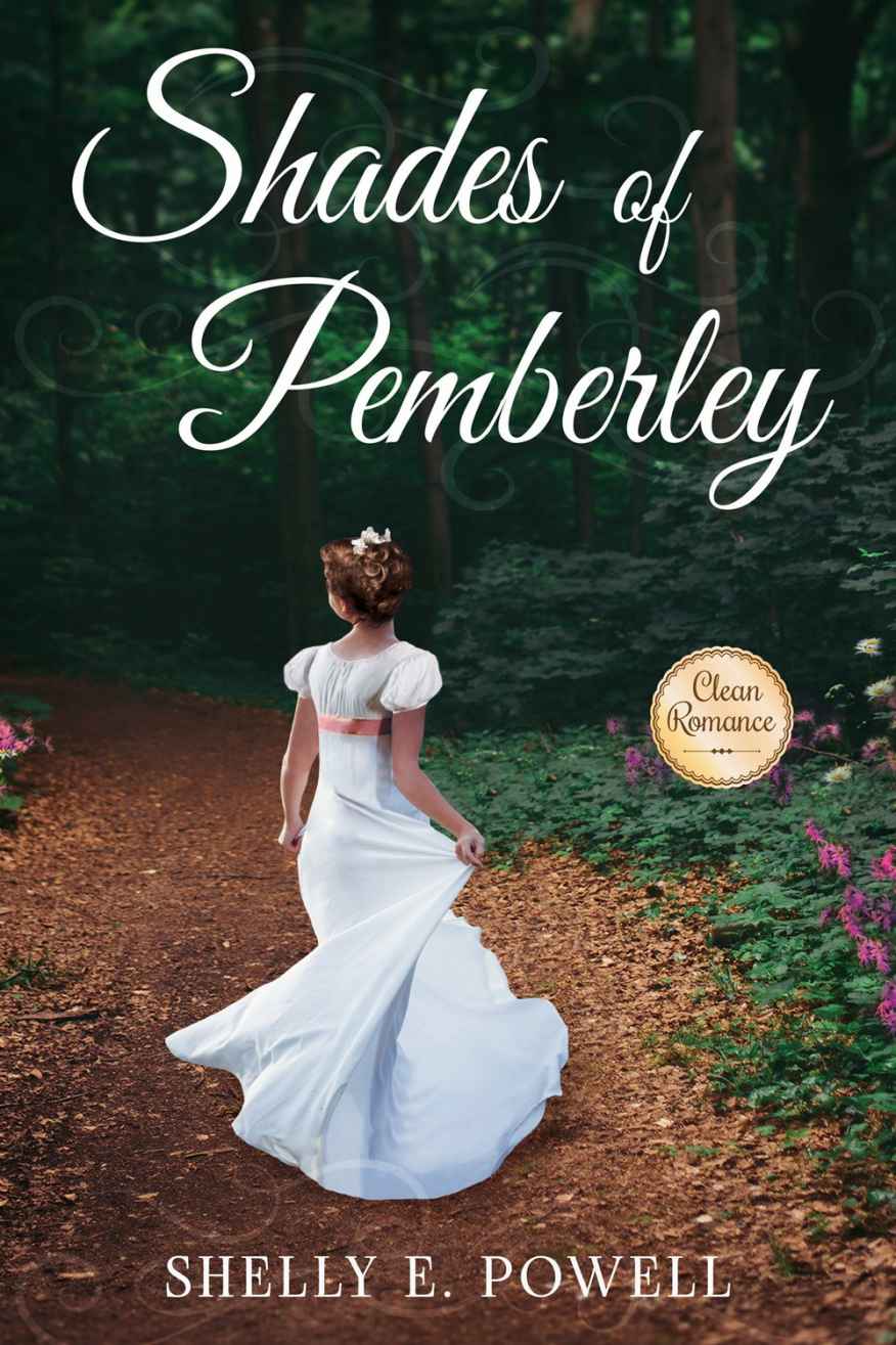 Shades Of Pemberley Shelly E Powell