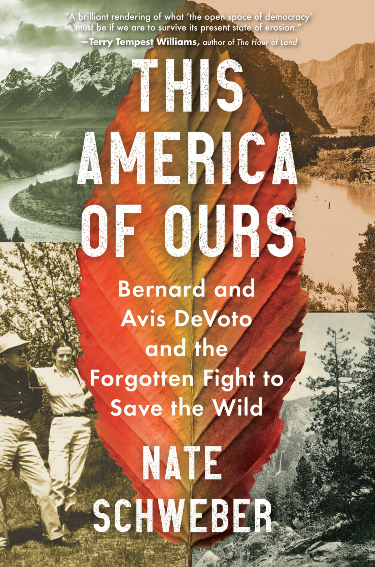 This America Of Ours Nate Schweber