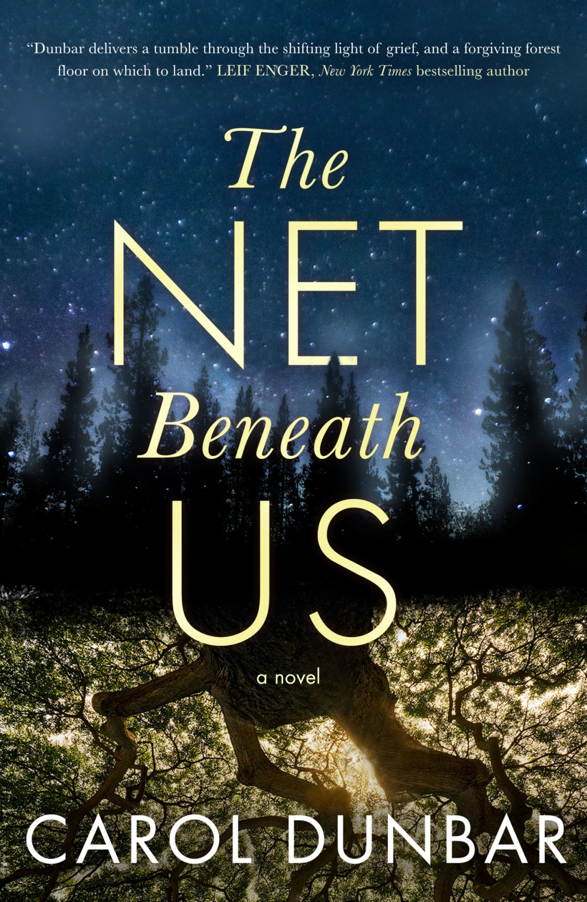 The Net Beneath Us A Novel Carol Dunbar