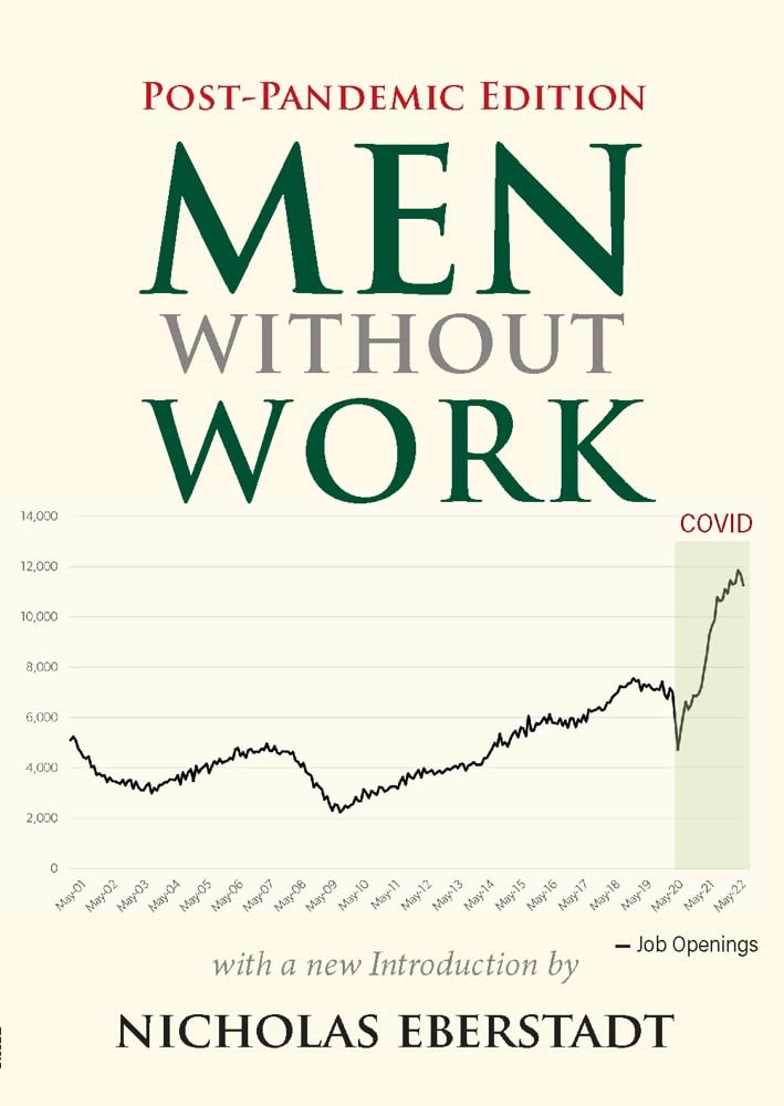 Men Without Work Postpandemic Edition Nicholas Eberstadt