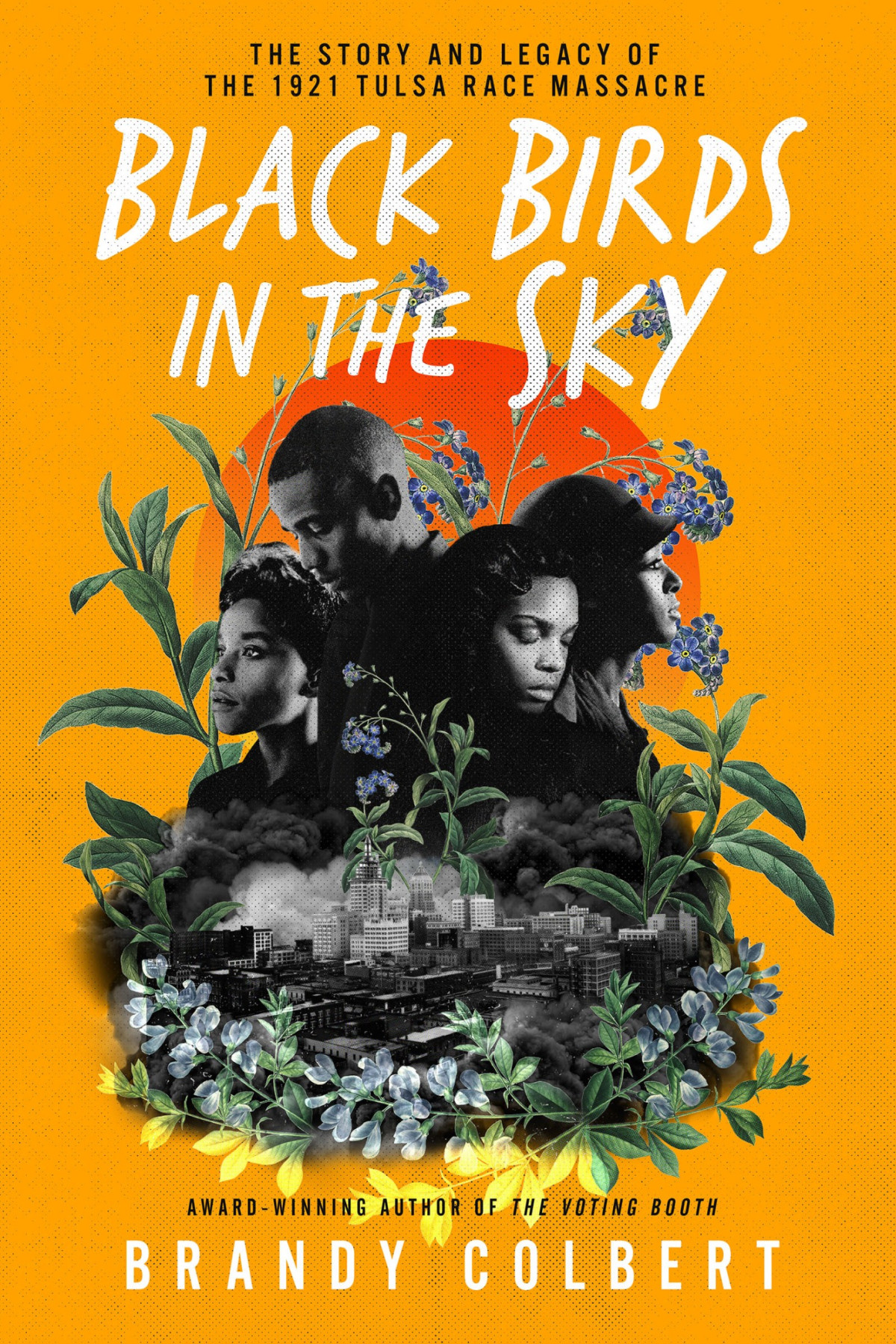 Black Birds In The Sky Brandy Colbert