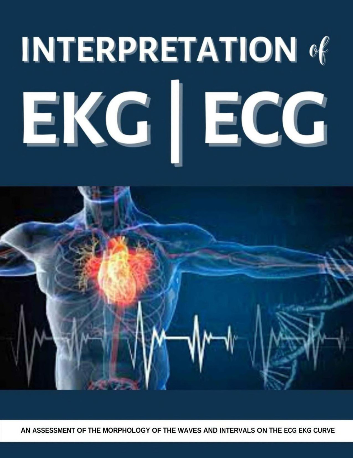 Interpretation Of Ekg Ecg An Assessment Of The Morphology Of The Waves And Intervals On The Ecg Ekg Curve Stevens
