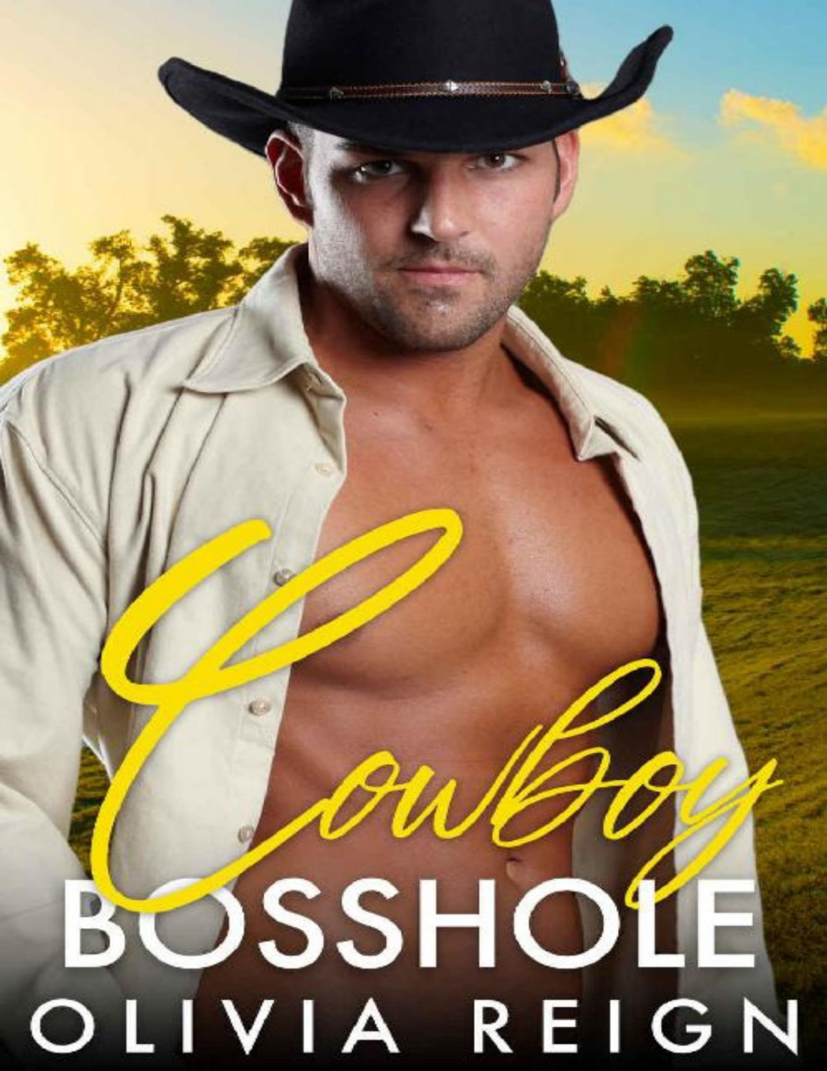 Cowboy Bosshole A Second Chance Girl Next Door Romance Olivia Reign