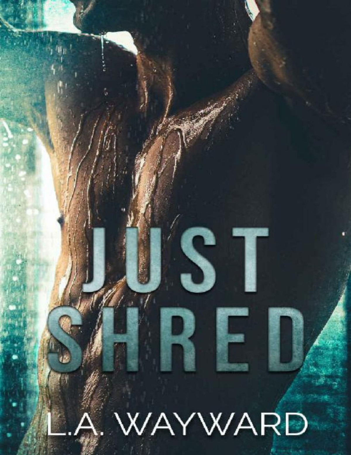 Just Shred A Steamy Snowboard Romance La Wayward