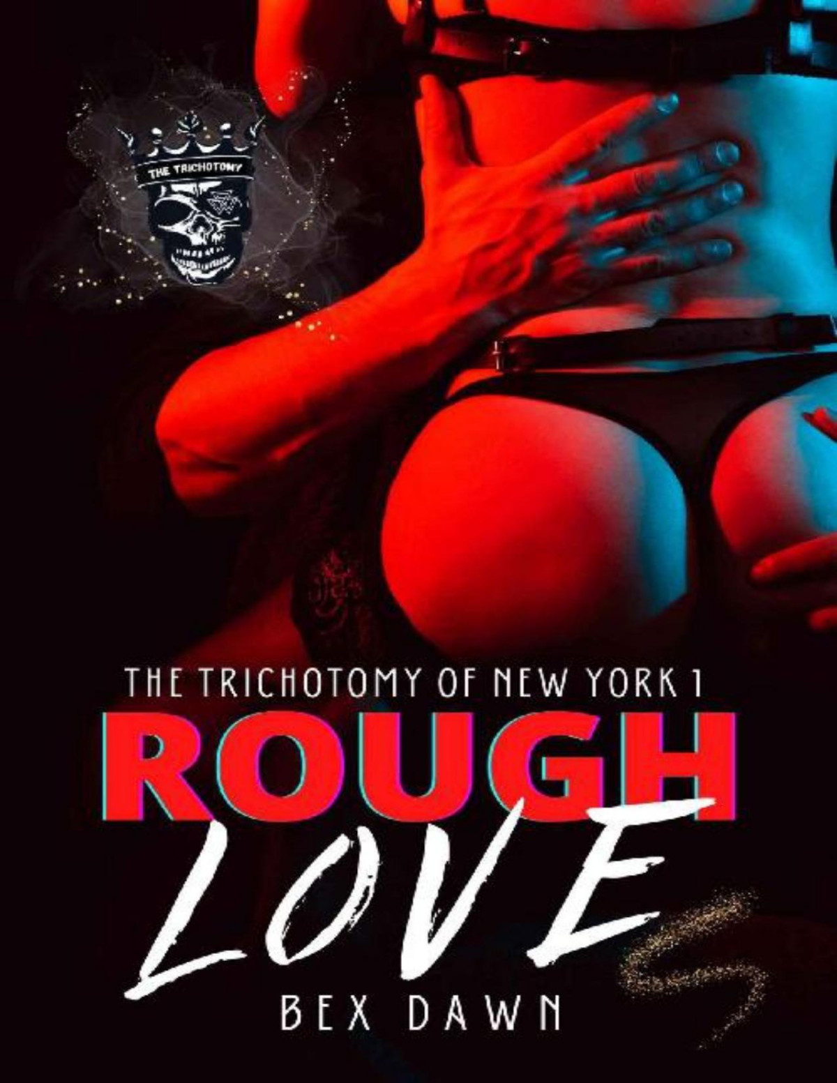 Rough Love The Trichotomy Of New York Book 1 1st Edition Bex Dawn