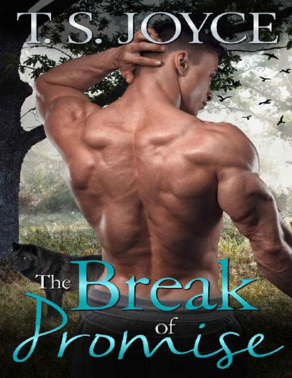 The Break Of Promise T S Joyce