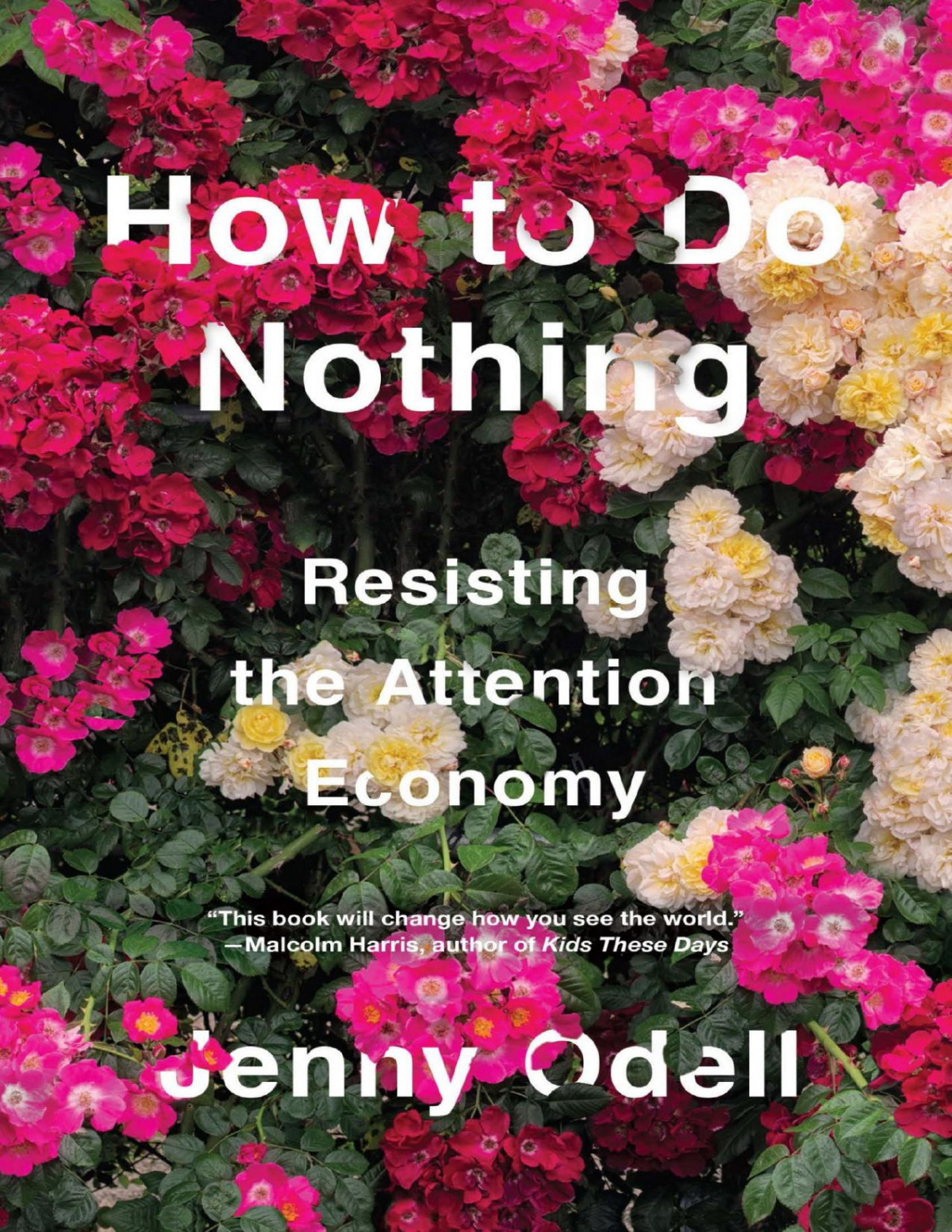 How To Do Nothing Resisting The Attention Economy Jenny Odell