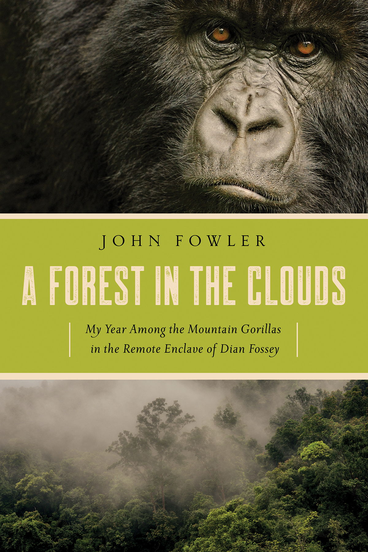 A Forest In The Clouds John Fowler