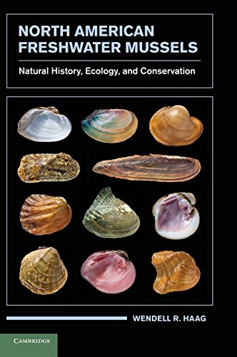 North American Freshwater Mussels Natural History Ecology And Conservation Wendell R Haag