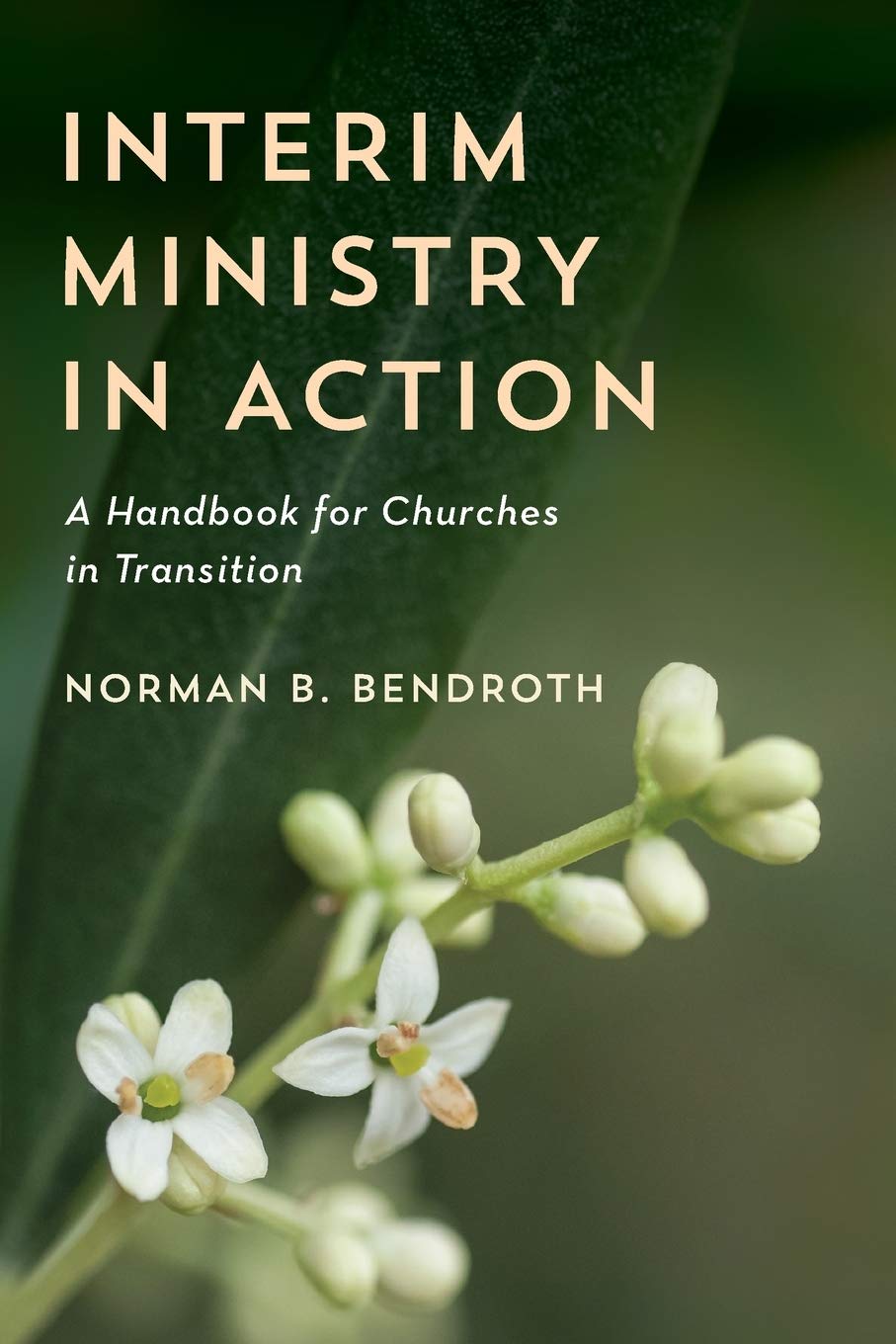 Interim Ministry In Action A Handbook For Churches In Transition Norman B Bendroth