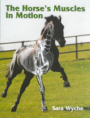 The Horses Muscles In Motion Sara Wyche