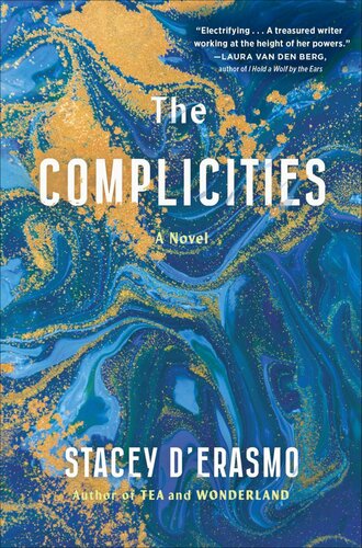 The Complicities A Novel Stacey Derasmo