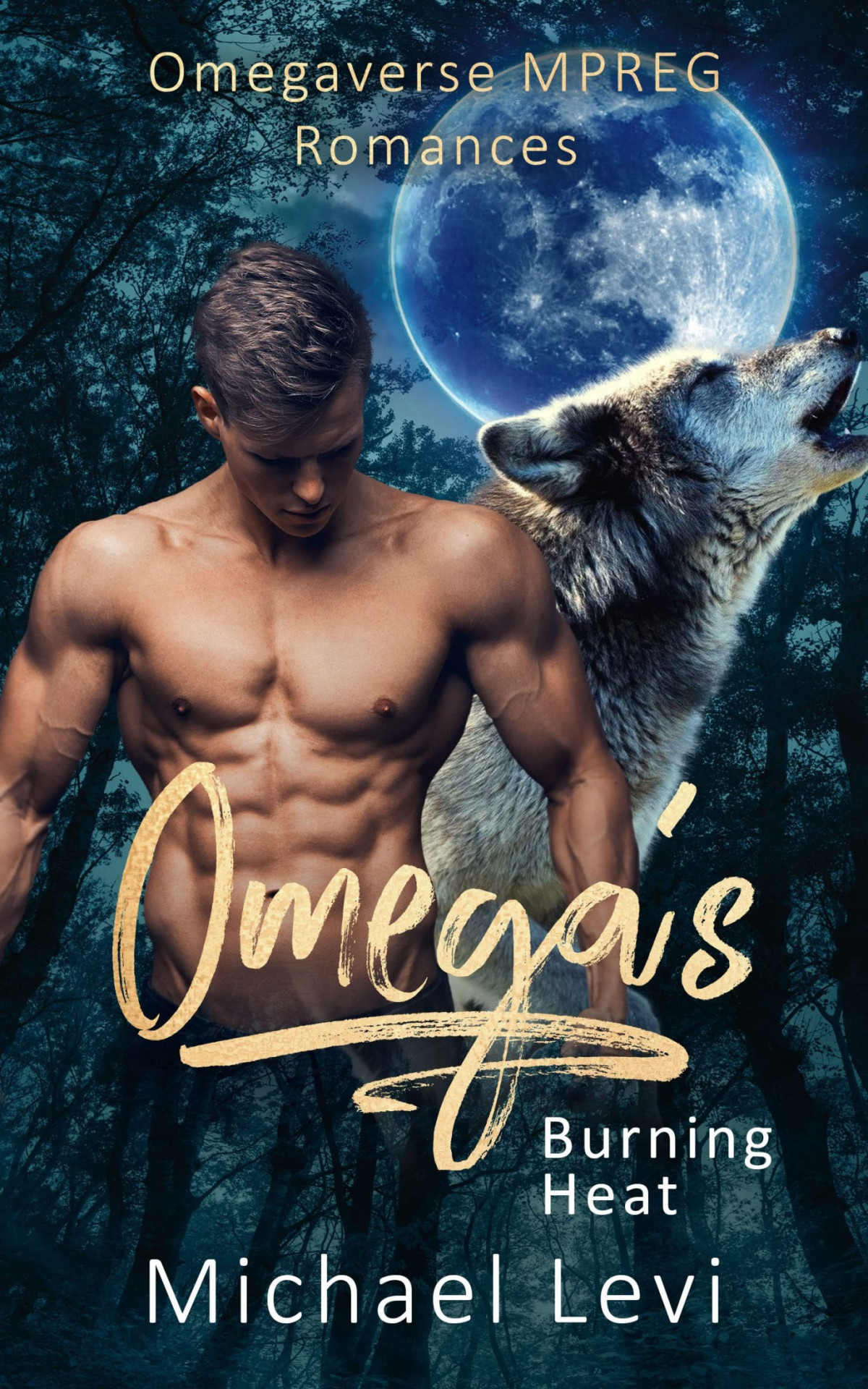 Omegas Burning Heat Books 13 Michael Levi