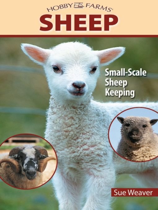 Sheep Small Scale Sheep Keeping Sue Weaver