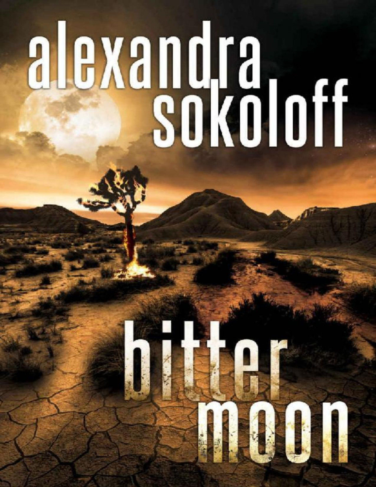 Bitter Moon The Huntressfbi Thrillers Book 4 Alexandra Sokoloff